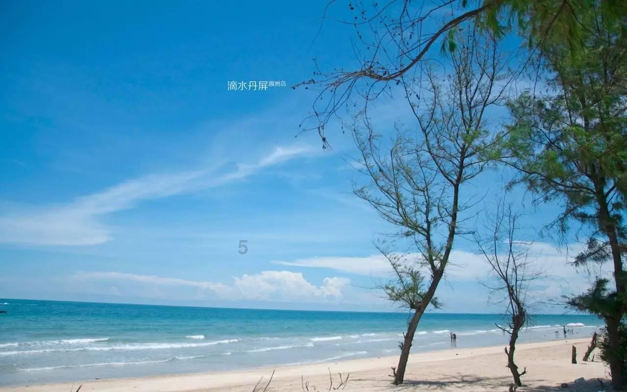 纸上谈兵的赵括，是哪位名将的儿子游戏画面